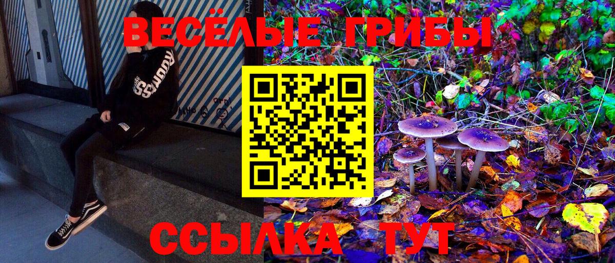 Псилоцибиновые грибы мухоморы  Вход с VPN  Красногорск 