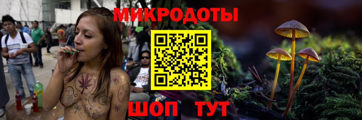 Псилоцибиновые грибы мицелий Красногорск